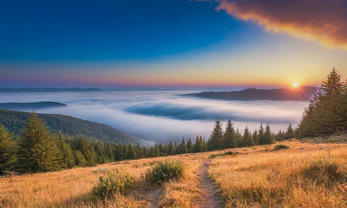 在喧嚣中寻觅宁静