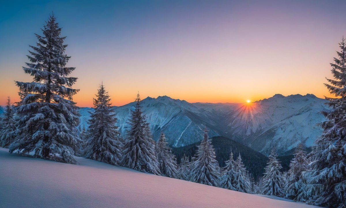 在喧嚣中寻觅宁静