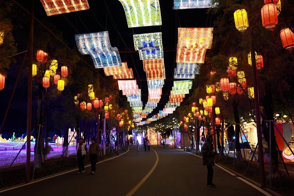 2025年粤港澳大湾区灯会