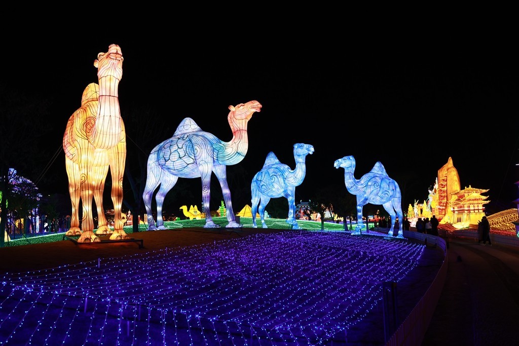 2025年粤港澳大湾区灯会