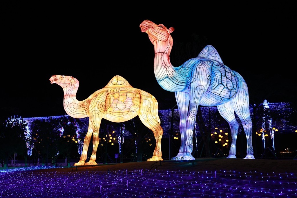 2025年粤港澳大湾区灯会