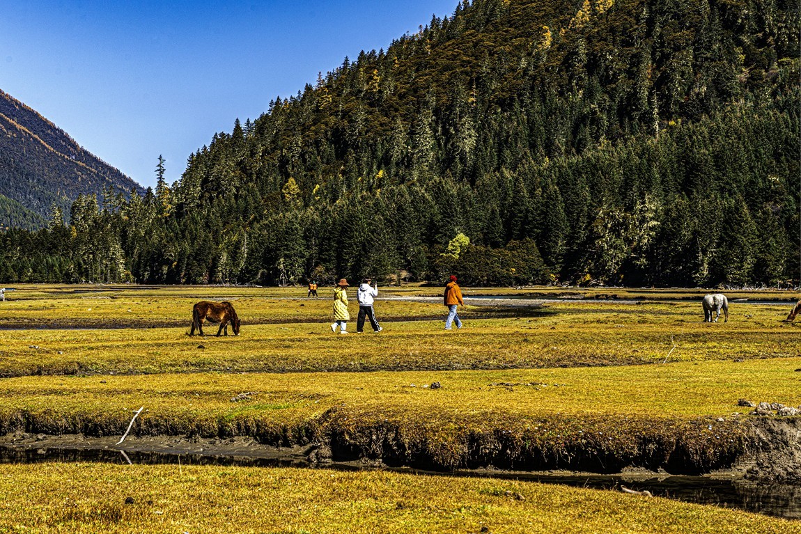 行走在318国道--初探月亮湖【11】