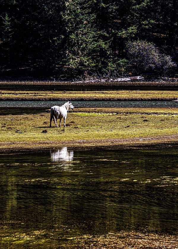 行走在318国道--初探月亮湖【11】