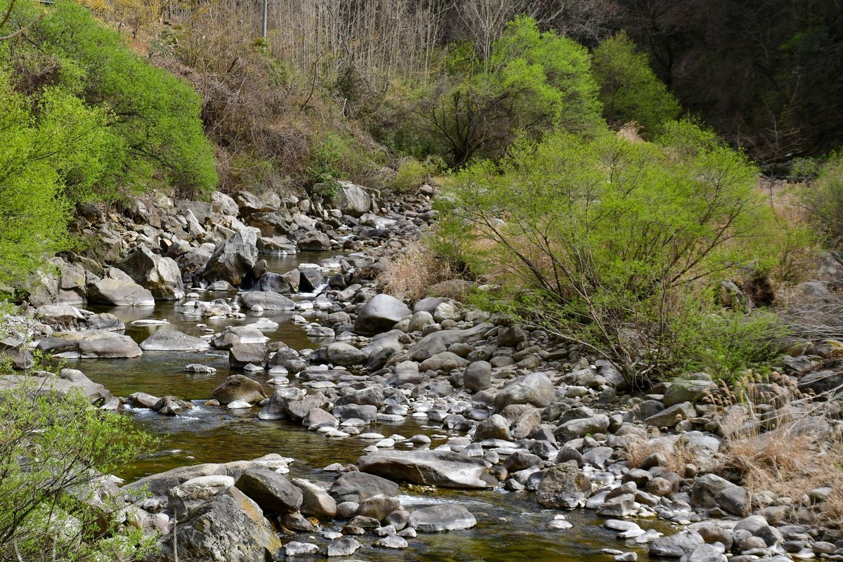 我只是把出去看到的随手记录下来（139）