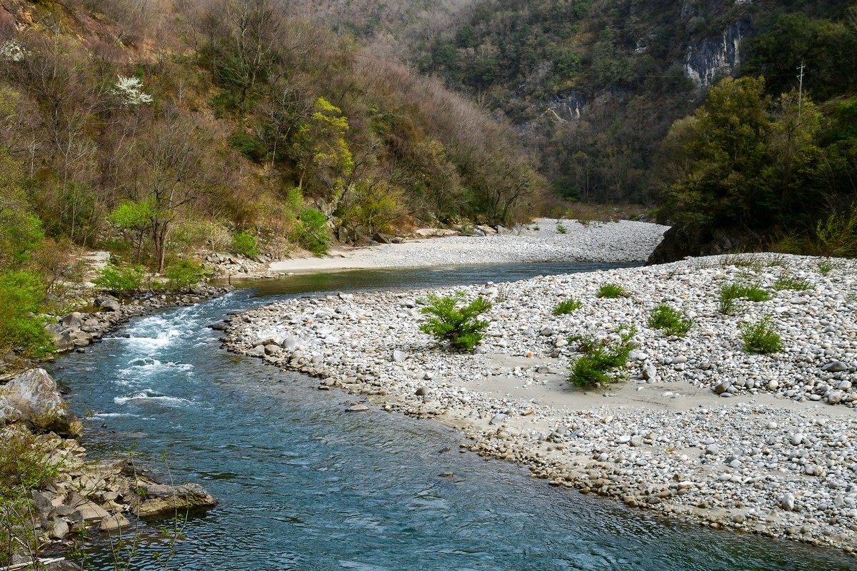 我只是把出去看到的随手记录下来（139）