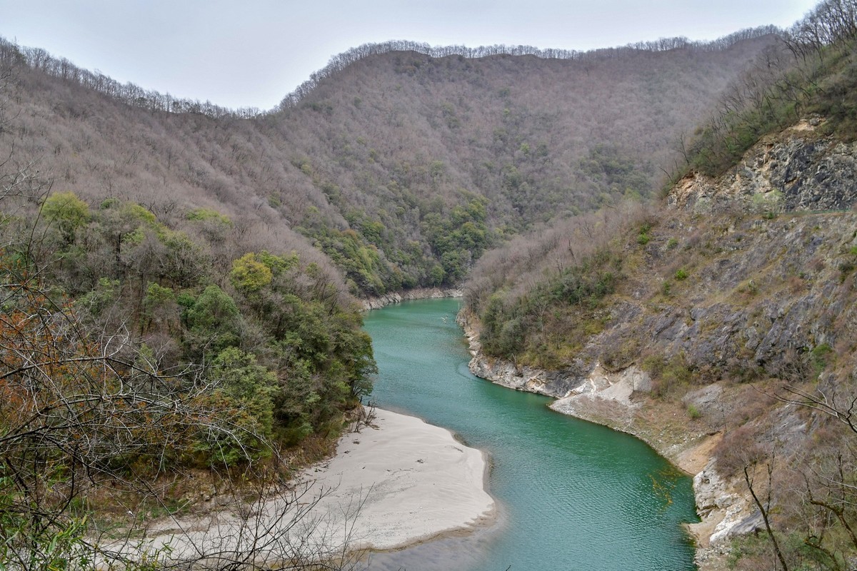 我只是把出去看到的随手记录下来（139）