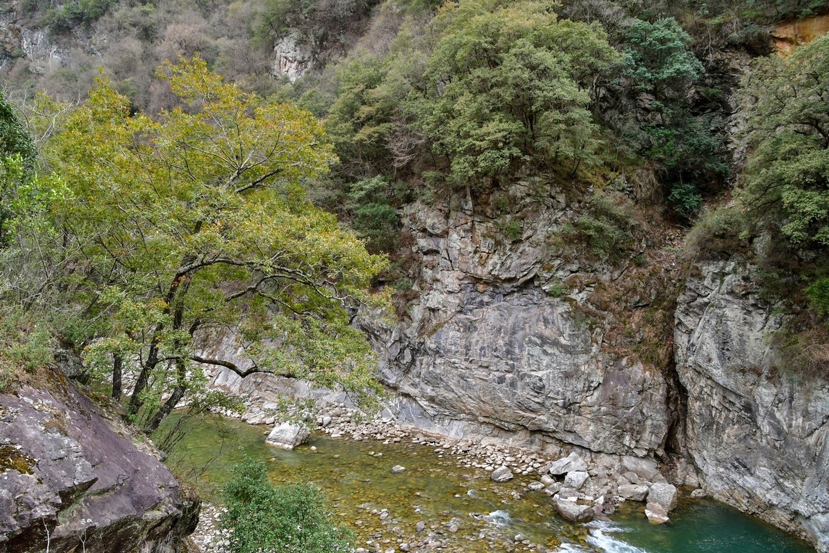 我只是把出去看到的随手记录下来（139）