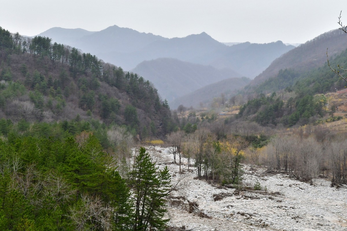 我只是把出去看到的随手记录下来（139）