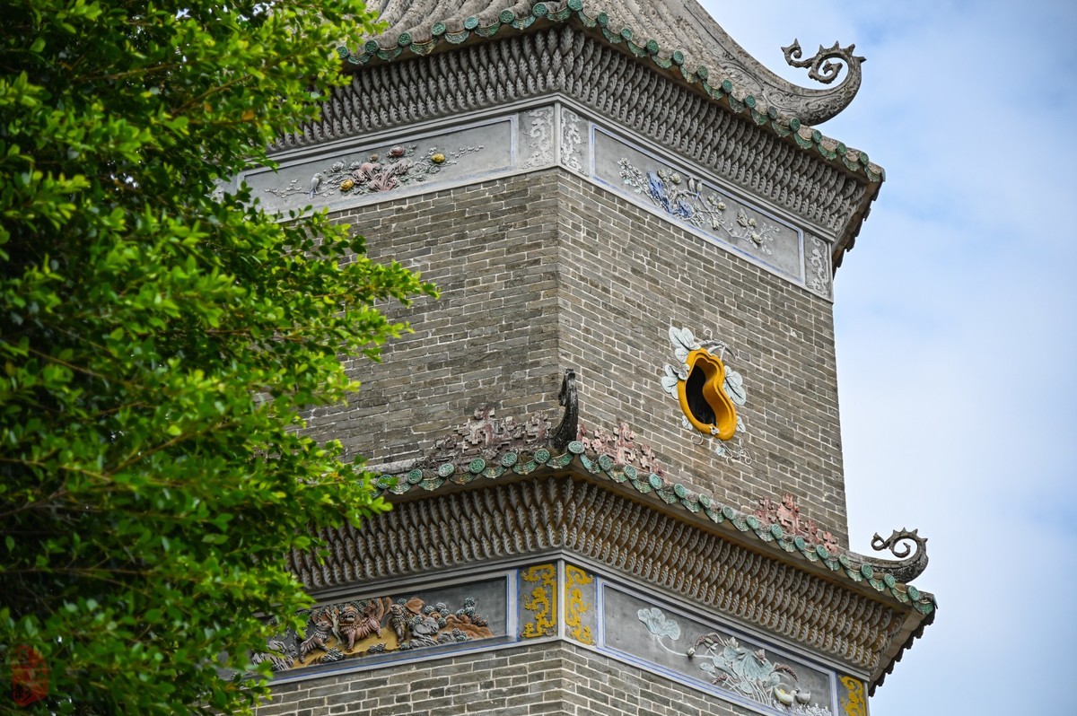 看上Z6III却选择D780拍大岭