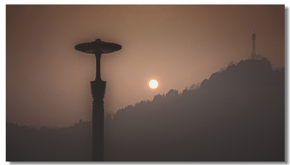 我家小朋友新年习作公园拍鸟