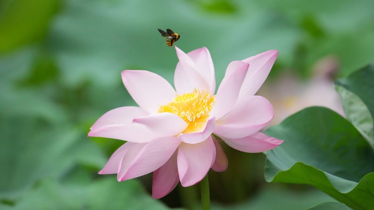 看看索尼ILCE-1 在阴暗的环境里抓拍的影像