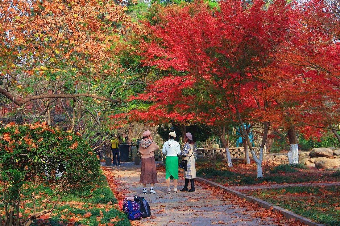 技术讨论帖《别把前妻（前期）忘了！她是提升画面效果的有效办法》尤其是拍树叶花草