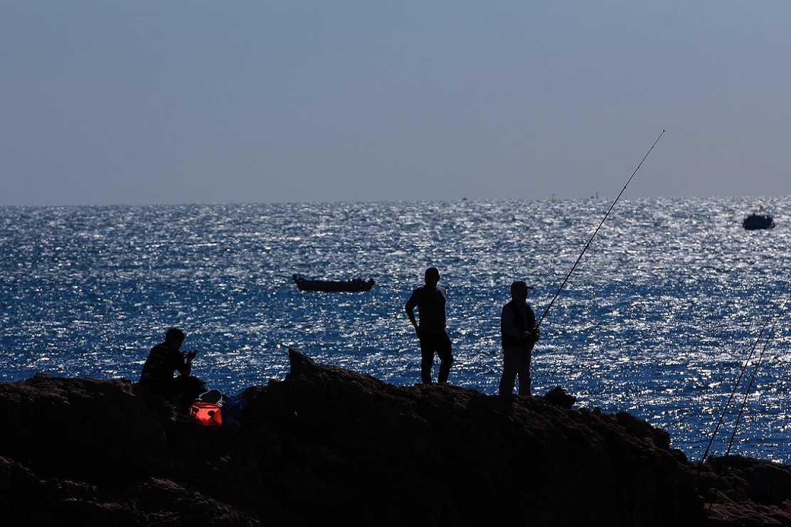 技术讨论帖《别把前妻（前期）忘了！她是提升画面效果的有效办法》尤其是拍树叶花草