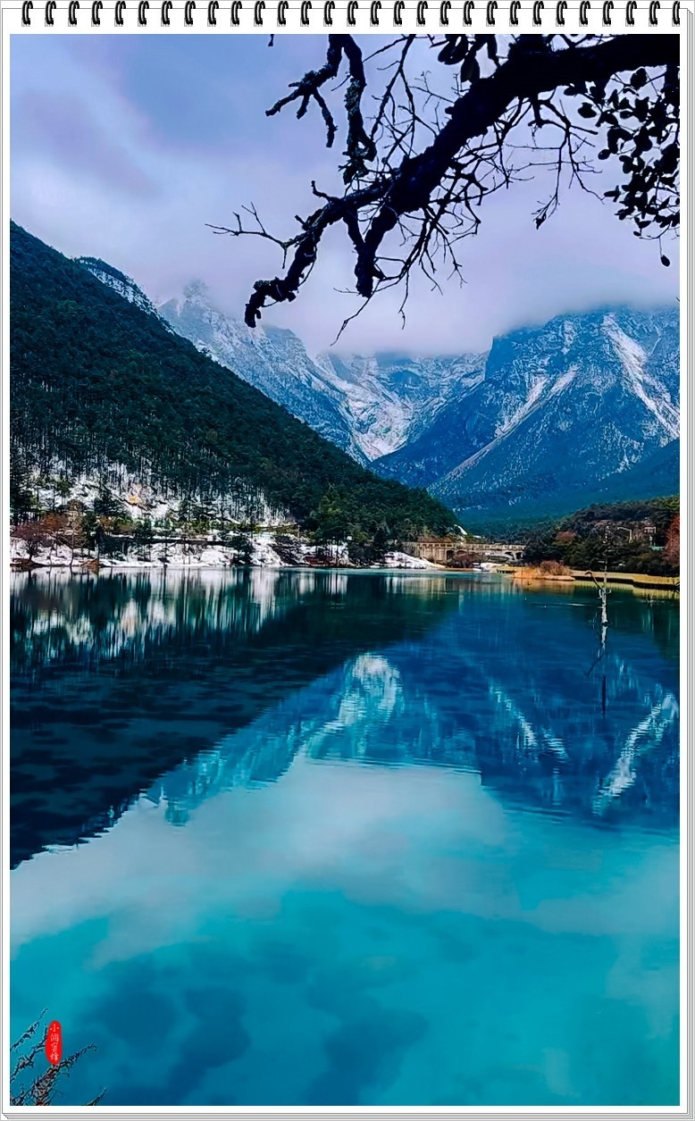 2023年九寨沟抓拍集锦-102