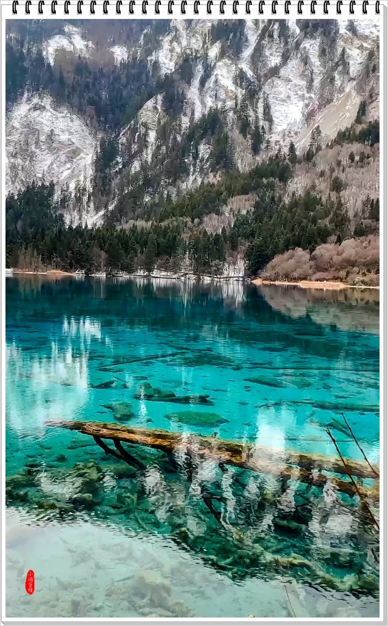 2023年九寨沟抓拍集锦-102