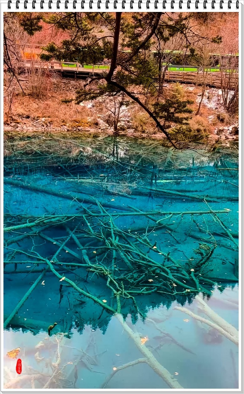 2023年九寨沟抓拍集锦-102