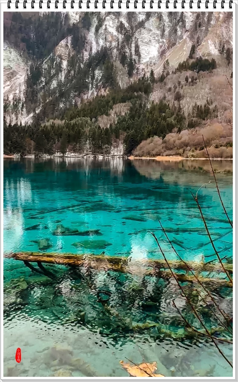 2023年九寨沟抓拍集锦-102