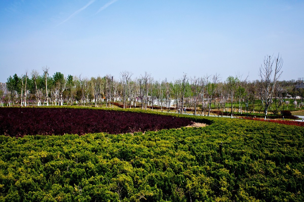 沧海桑田——钢城的变迁 （二）