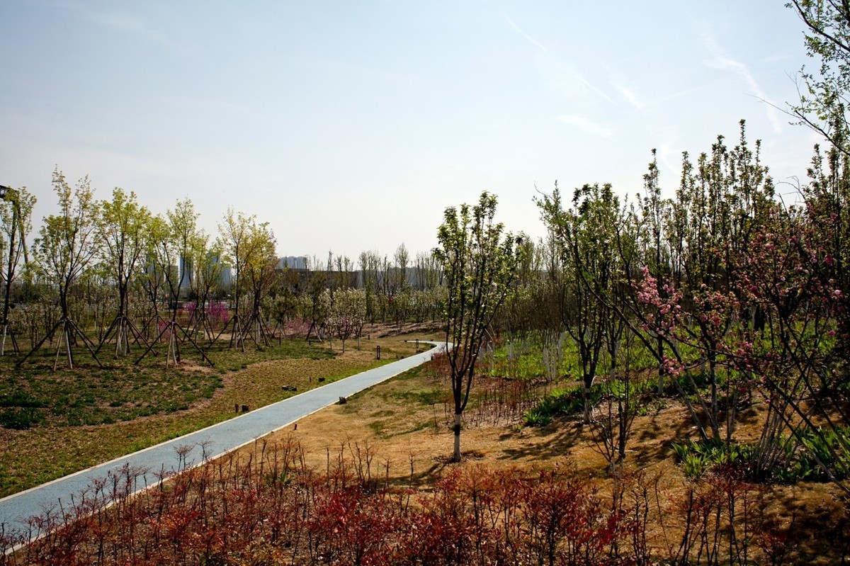 沧海桑田——钢城的变迁 （二）