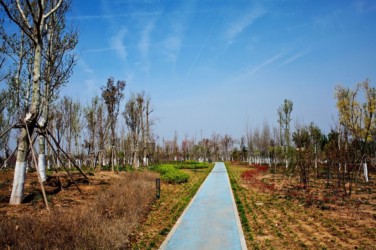 沧海桑田——钢城的变迁 （二）