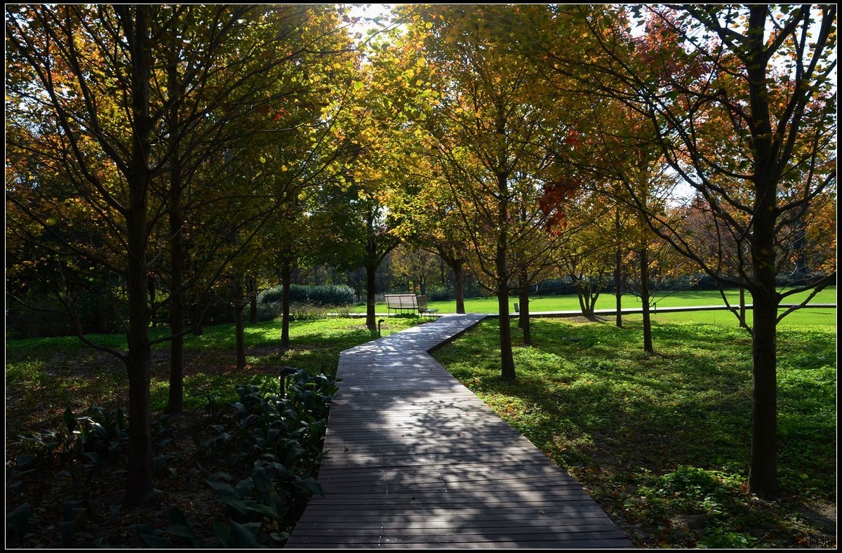 上海世博文化公园