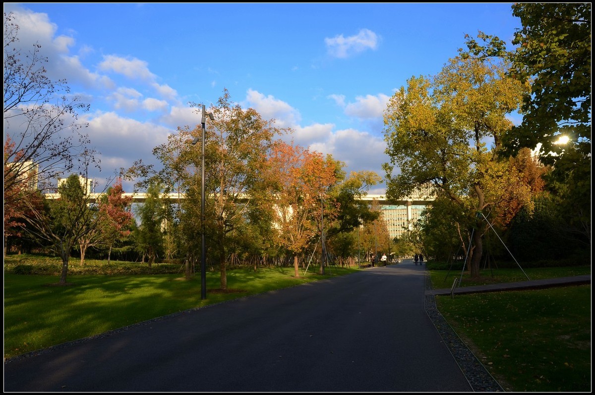 上海世博文化公园