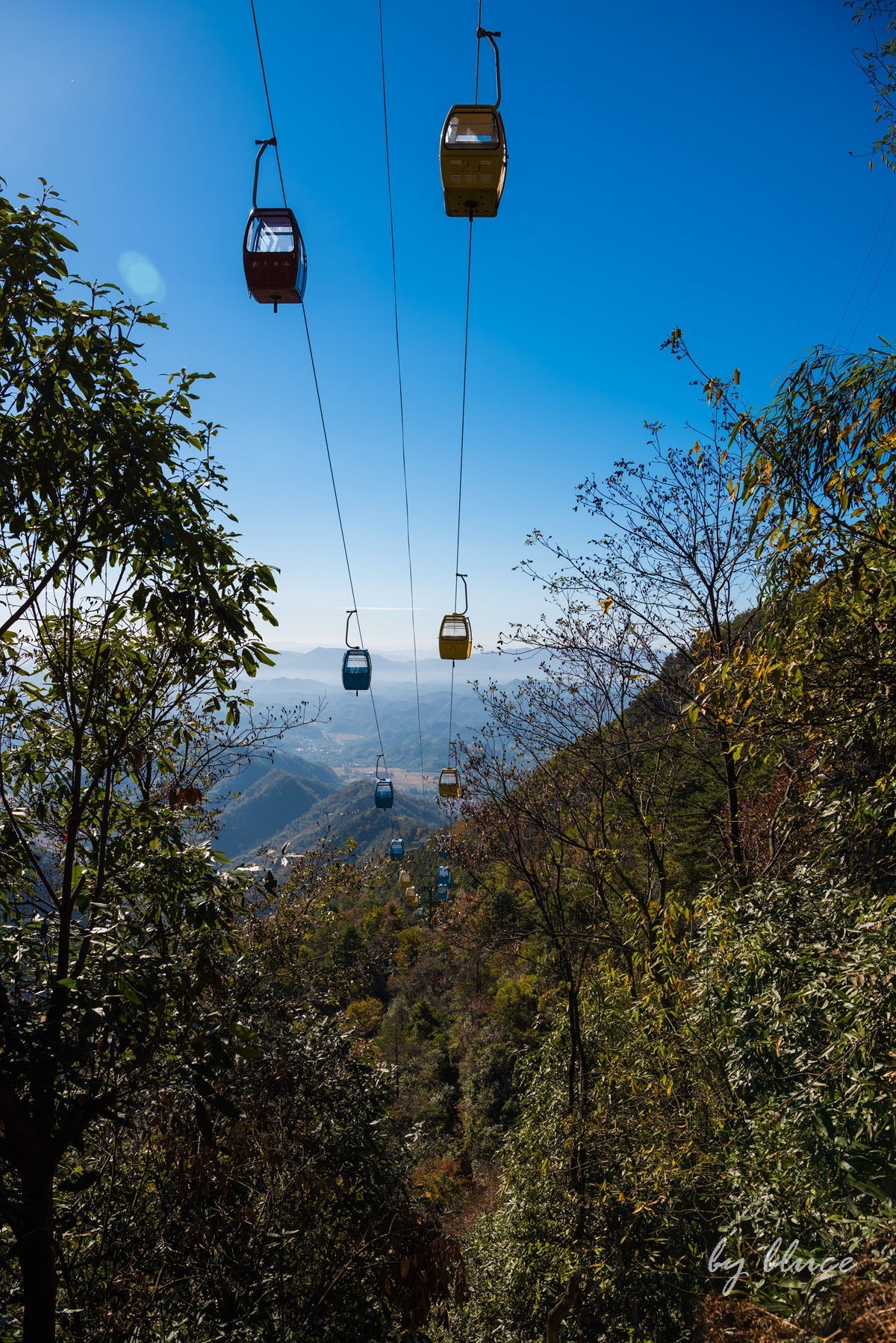 秋游天目山（四）