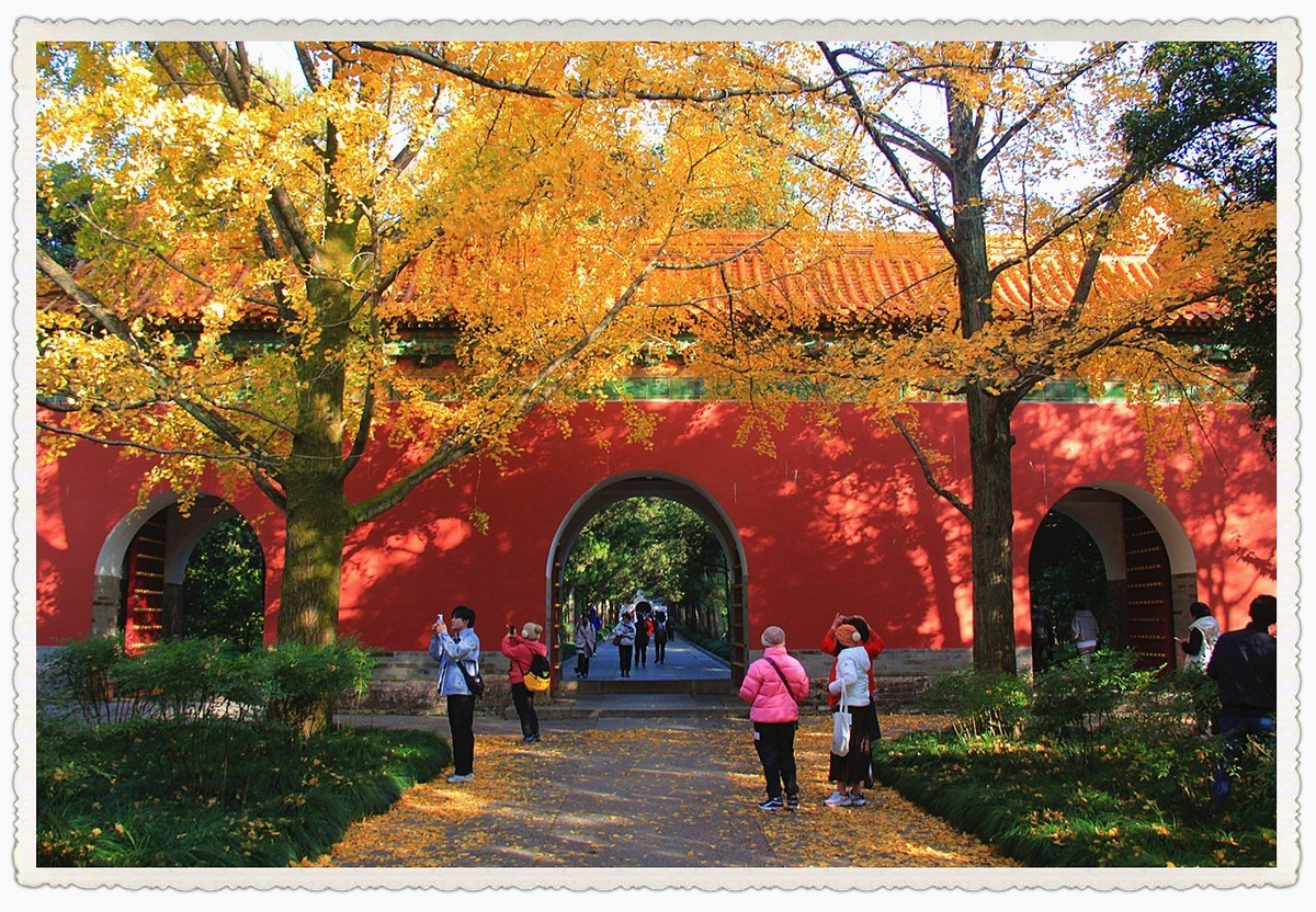 深秋时节的南京