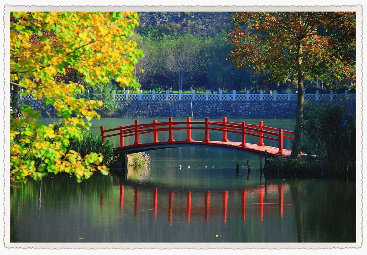 深秋时节的南京