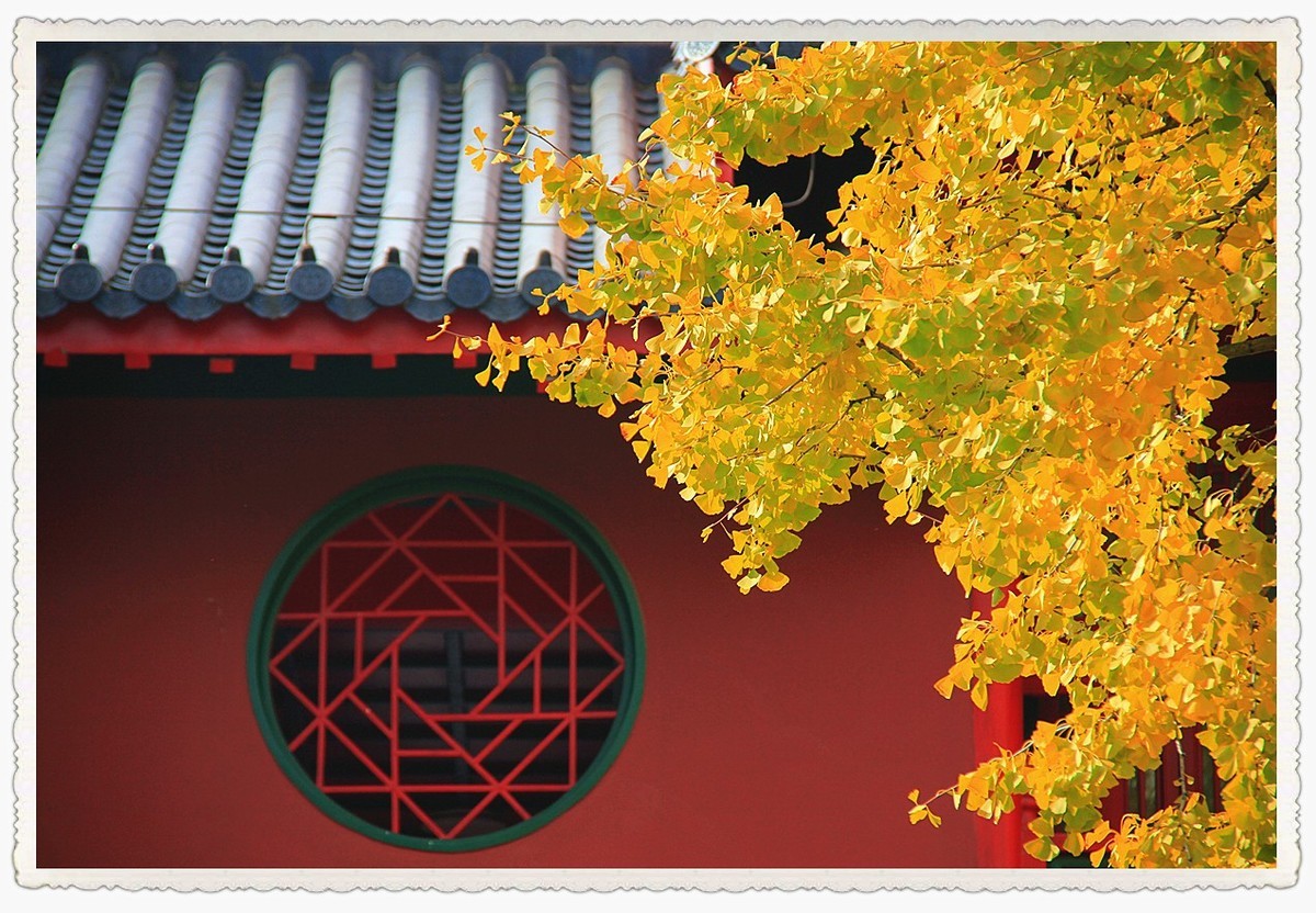 深秋时节的南京