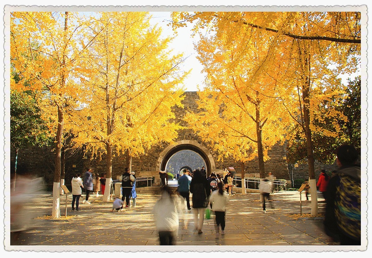 深秋时节的南京