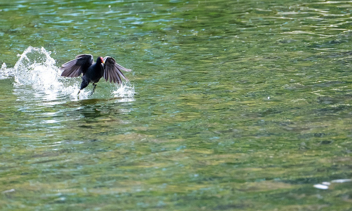 烟台黄金河随拍