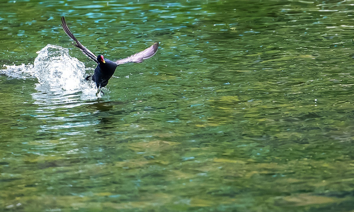 烟台黄金河随拍