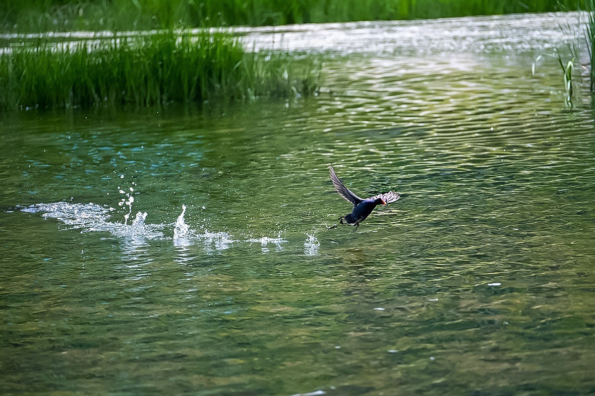 烟台黄金河随拍