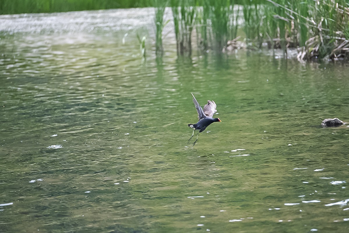 烟台黄金河随拍