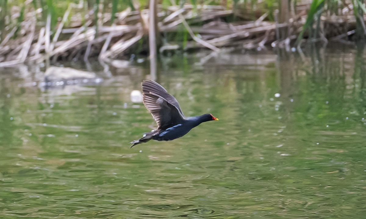 烟台黄金河随拍
