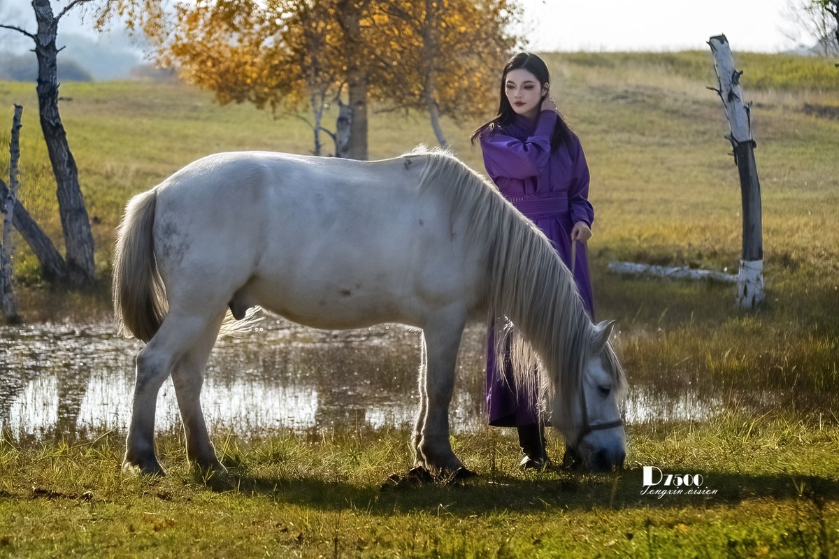乌兰布统——温顺与柔情（1）