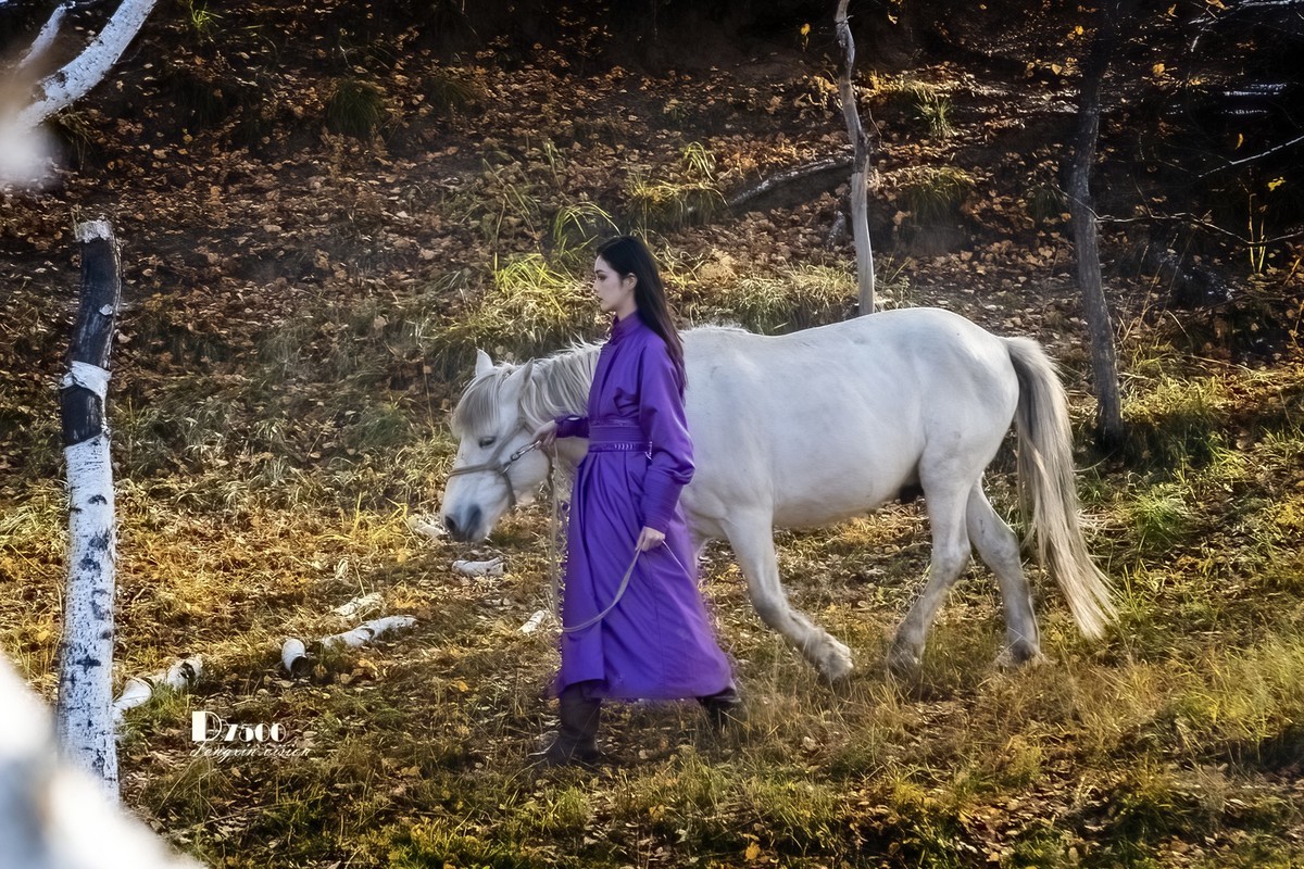 乌兰布统——温顺与柔情（1）