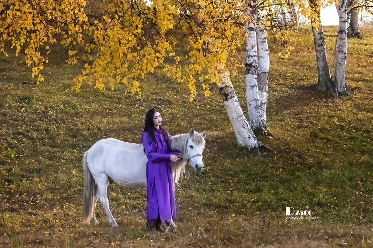 乌兰布统——温顺与柔情（1）