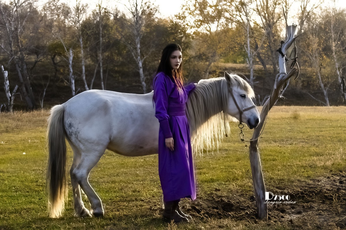 乌兰布统——温顺与柔情（1）