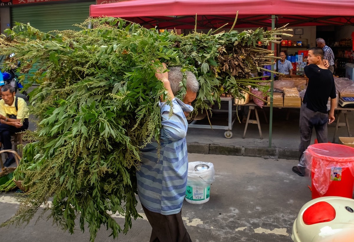 乡村赶集（怀念那段无需口罩的日子）