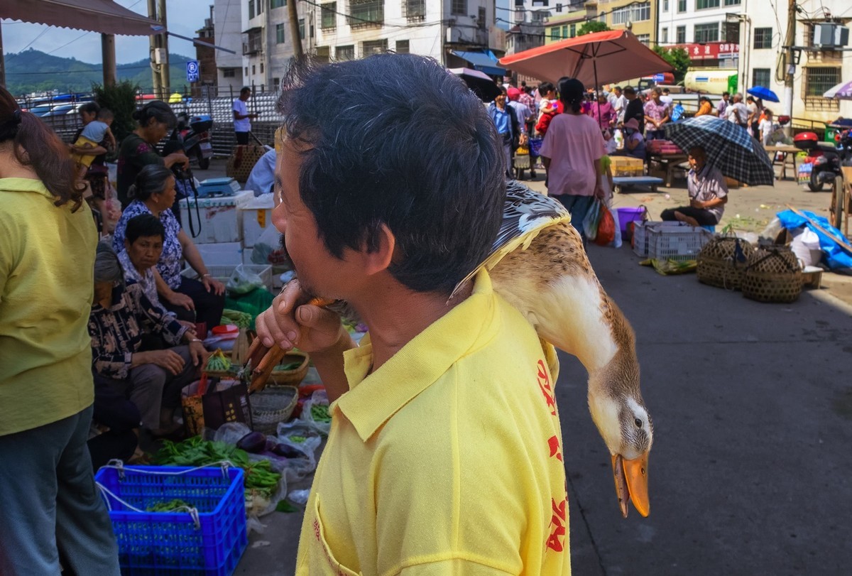 乡村赶集（怀念那段无需口罩的日子）