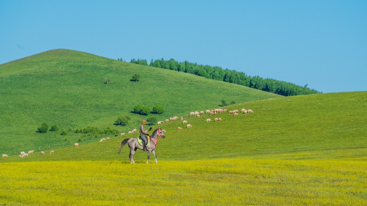21.6 夏日的草原（九）------绿绿的草原，休闲的景色