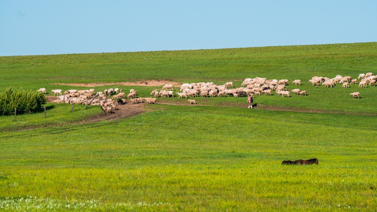 21.6 夏日的草原（九）------绿绿的草原，休闲的景色