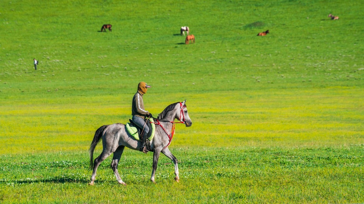 21.6 夏日的草原（九）------绿绿的草原，休闲的景色