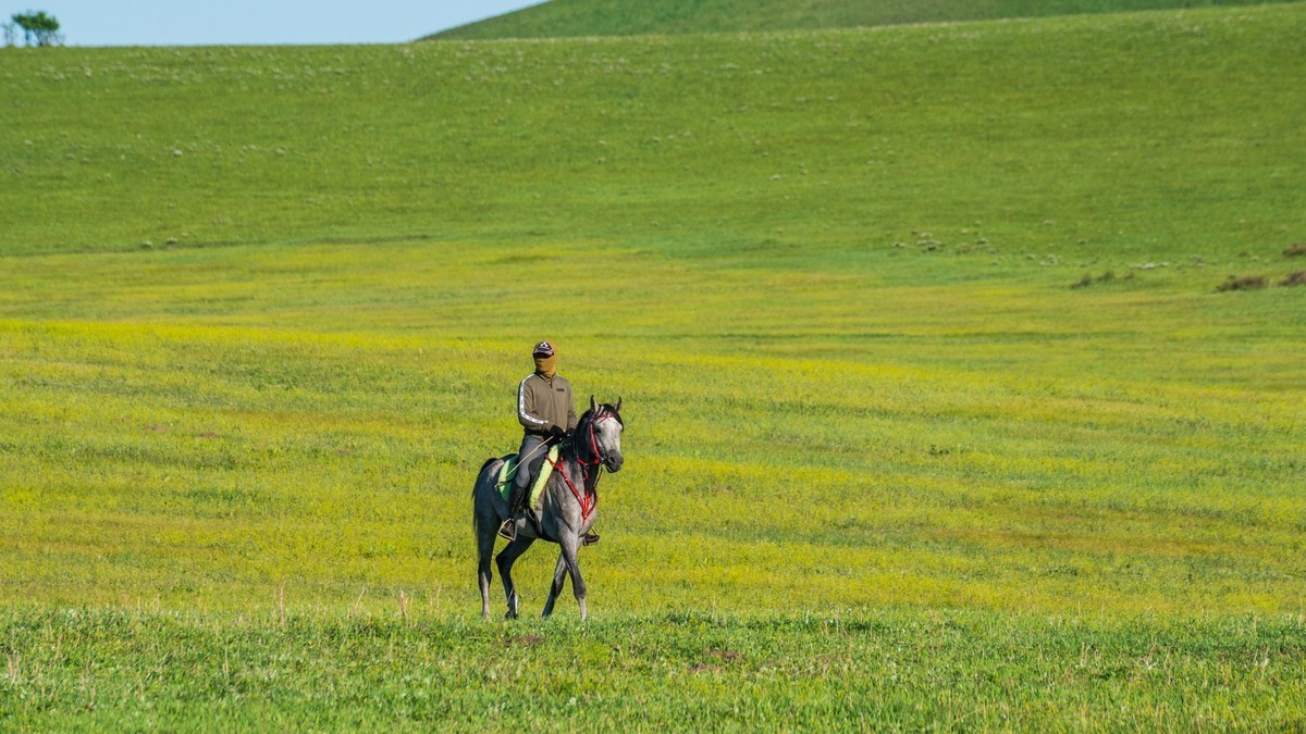 21.6 夏日的草原（九）------绿绿的草原，休闲的景色