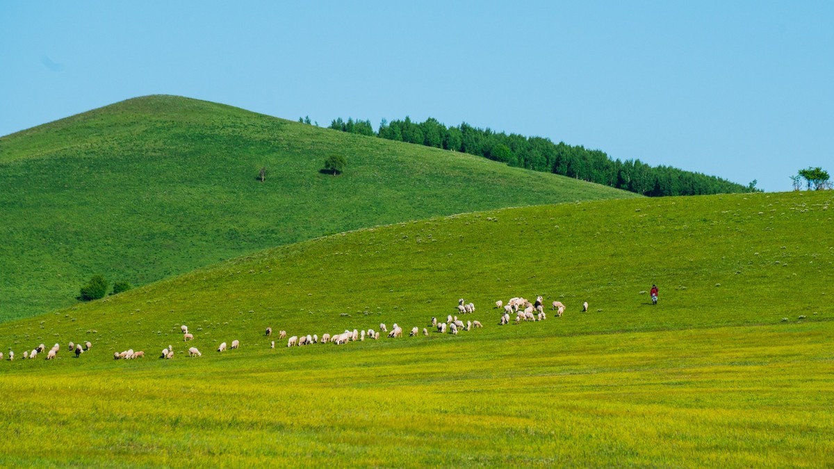 21.6 夏日的草原（九）------绿绿的草原，休闲的景色