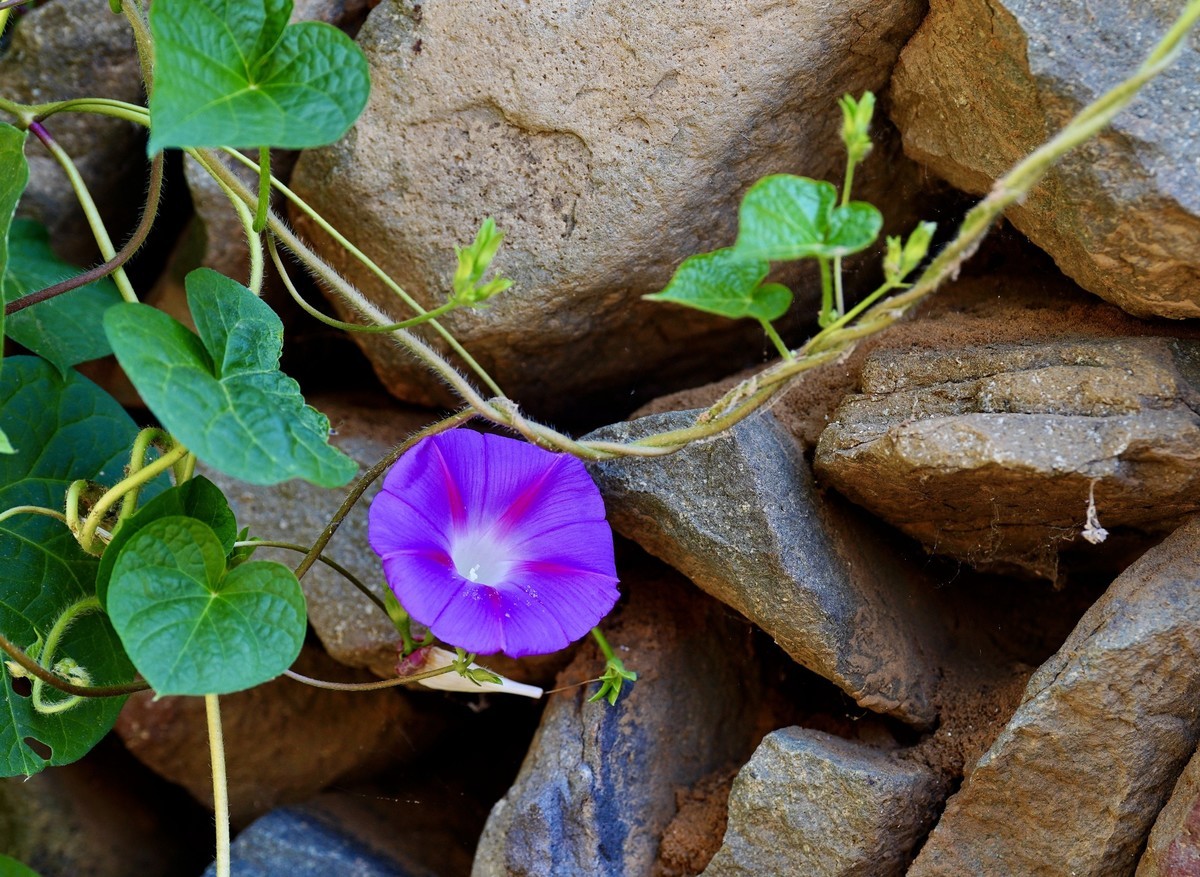 秀水举人村和爨底下村掠影