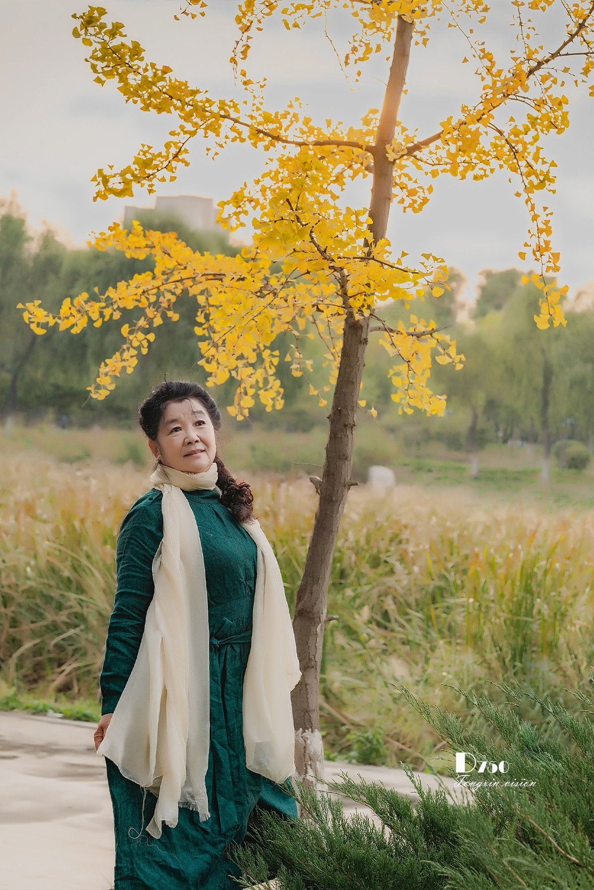 #留住美丽秋天# ——芦花美