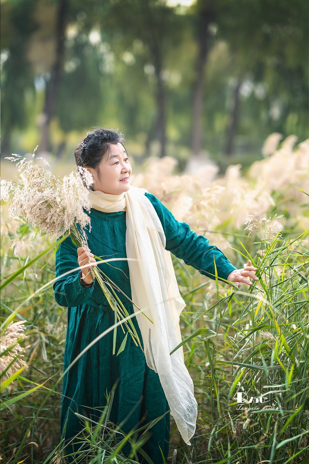 #留住美丽秋天# ——芦花美